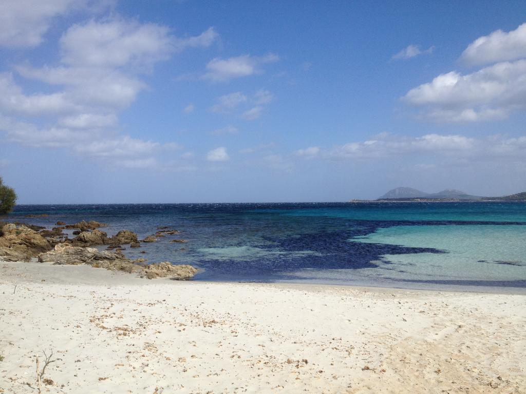 Luxury Apartment Sardegna Portisco Oda fotoğraf